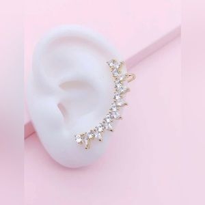 BNWT: Ear Climbing Earrings! Gold color. Beautiful and elegant earrings!